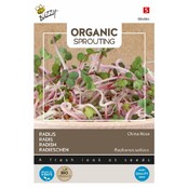 Buzzy® Organic Radijs China Rose BIO Kiemgroente – Pittige Spruiten voor Thuisteelt
