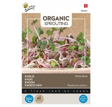 Buzzy® Organic Radijs China Rose BIO Kiemgroente – Pittige Spruiten voor Thuisteelt