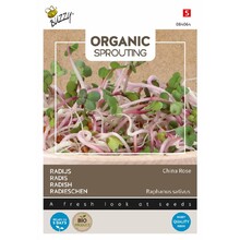 Organic Sprouting  Radijs China Rose BIO Kiemgroente – Pittige Spruiten voor Thuisteelt
