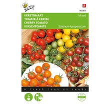Cherry Mixed kerstomaten zaden – 4 kleuren mix | moestuinplant.nl