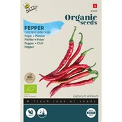 Biologische Peper Zaden Cayenne Long Slim kopen | Buzzy Organic BIO