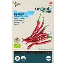 Biologische Peper Zaden Cayenne Long Slim kopen | Buzzy Organic BIO