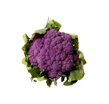 Paarse bloemkool planten kopen – 8 plugplanten moestuin