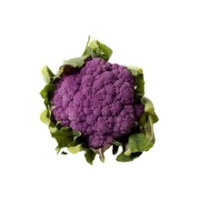 Paarse bloemkool (8 planten)