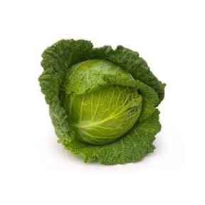 Groene kool 8 plugplanten – sterke koolplant voor de moestuin