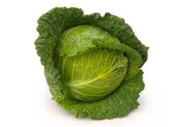 Groene kool 8 plugplanten – sterke koolplant voor de moestuin