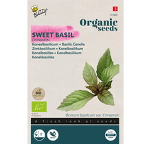 Kaneelbasilicum BIO Zaden kopen | Biologische kruiden