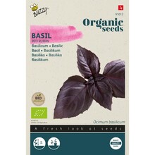 Biologische Basilicum Red Rubin Zaden – Buzzy Organic | Paarse Bio Kruiden