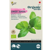 Basilicum Italiano BIO Zaden kopen | Biologische zaden