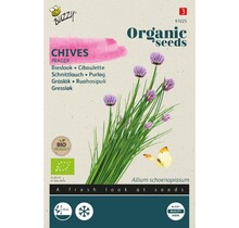 Bieslook BIO Zaden kopen | Biologische zaden moestuin