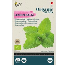 Citroenmelisse BIO Zaden kopen | Biologische kruiden moestuin