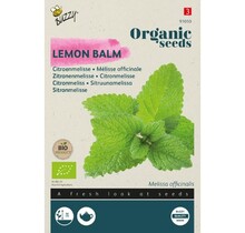 Kamille BIO Zaden kopen | Biologische kruiden moestuin