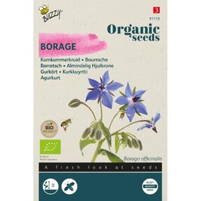 Biologische Komkommerkruid Zaden – Buzzy Organic | Aromatische Bio Kruiden