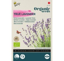 Lavendel BIO Zaden kopen | Biologische kruiden moestuin