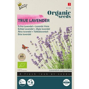 Biologische Echte Lavendel Zaden – Buzzy Organic | Aromatisch en Meerjarig