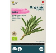 Salie BIO Zaden kopen | Biologische kruiden moestuin