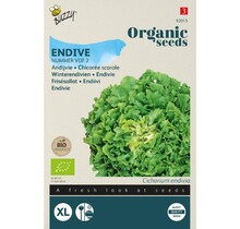 Andijvie BIO Zaden kopen | Biologische moestuin zaden