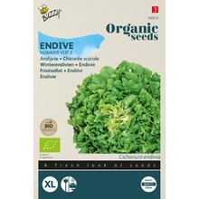 Biologische Andijvie Zaden – Nummer Vijf 2 | Buzzy Organic