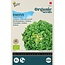 Moestuinplant Buzzy Andijvie BIO Zaden kopen | Biologische moestuin zaden