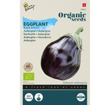 Aubergine BIO Zaden kopen | Black Beauty biologische zaden