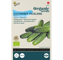 Augurk BIO Zaden kopen | Profi F1 biologische moestuin