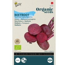 Bieten Detroit 2 BIO Zaden kopen | Biologische moestuin
