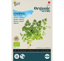 Kervel BIO Zaden kopen | Biologische kruiden moestuin