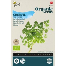 Biologische Kervel Fijne Krul Zaden – Buzzy Organic | Bio Kruiden Zaden