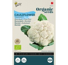 Bloemkool BIO Zaden kopen | Goodman F1 moestuin