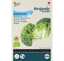 Broccoli BIO Zaden kopen | Belstar F1 biologische moestuin