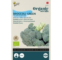 Broccoli Calabrese BIO Zaden kopen | Biologische moestuin