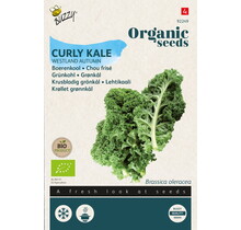 Boerenkool BIO Zaden kopen | Westlandse Herfst moestuin