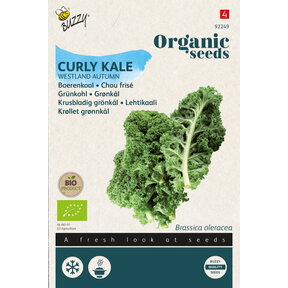 Biologische Boerenkool Westlandse Herfst Zaden – Buzzy Organic | Bio Groente Zaden