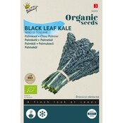 Palmkool BIO Zaden kopen | Nero di Toscana moestuin