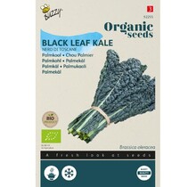 Palmkool BIO Zaden kopen | Nero di Toscana moestuin