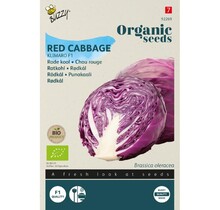 Rode kool BIO Zaden kopen | Klimaro F1 bewaarkool