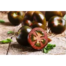 Grote geënte Zwart/bruine  tomatenplanten (3 stuks)