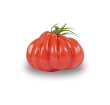 Grote Ossenhart Tomaten planten Mixpakket (3 planten)