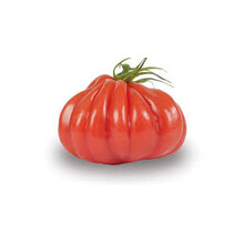 Grote Ossenhart Tomaten planten Mixpakket (3 planten)