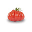 Moestuinplant Grote Ossenhart Tomaten planten Mixpakket (3 planten)