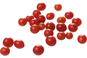 Grote Tomberry tomaten planten kopen