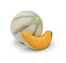 Cantaloupe Meloen planten