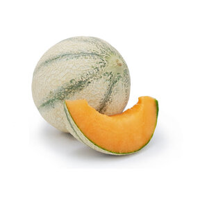 Cantaloupe meloen plant (3 planten)