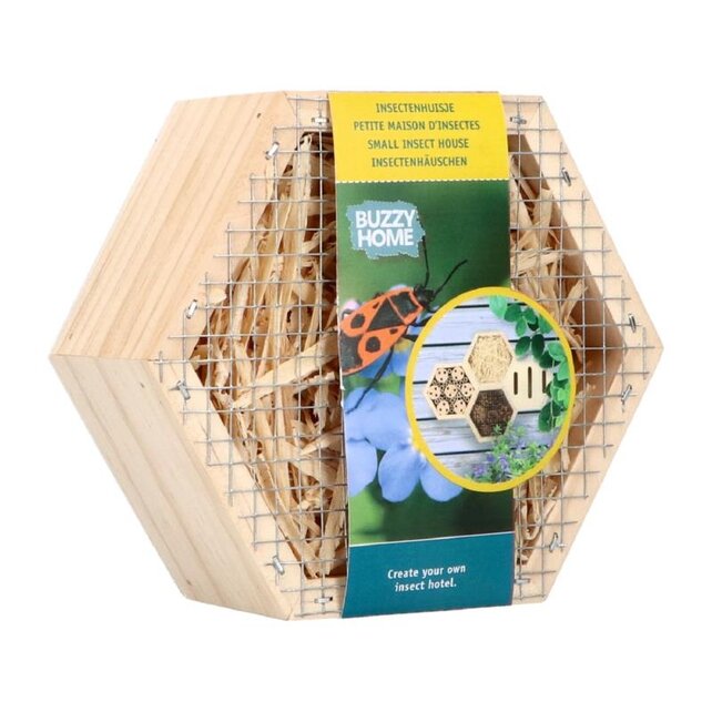 Home Hexagon Insecten