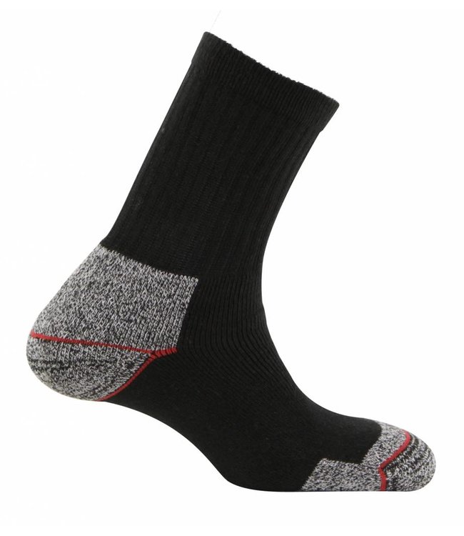 Teckel 2 paar sterke werksokken van katoen