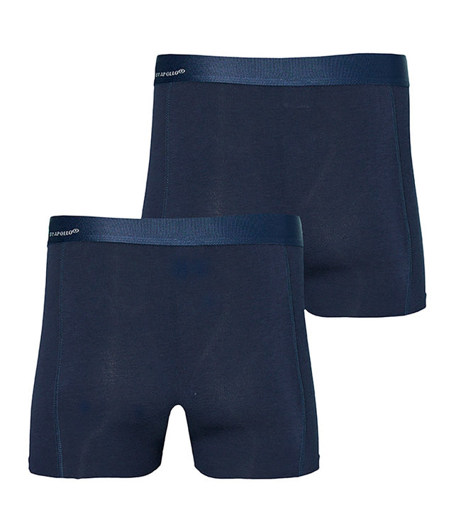Apollo Bamboe onderbroeken 2 stuks