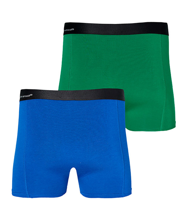 Apollo Bamboe onderbroeken 2 stuks