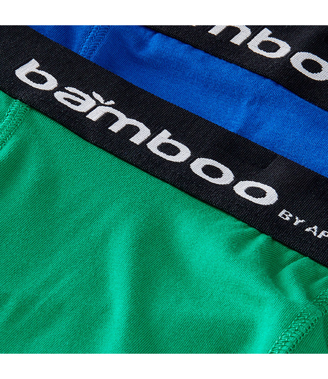 Apollo Bamboe onderbroeken 2 stuks