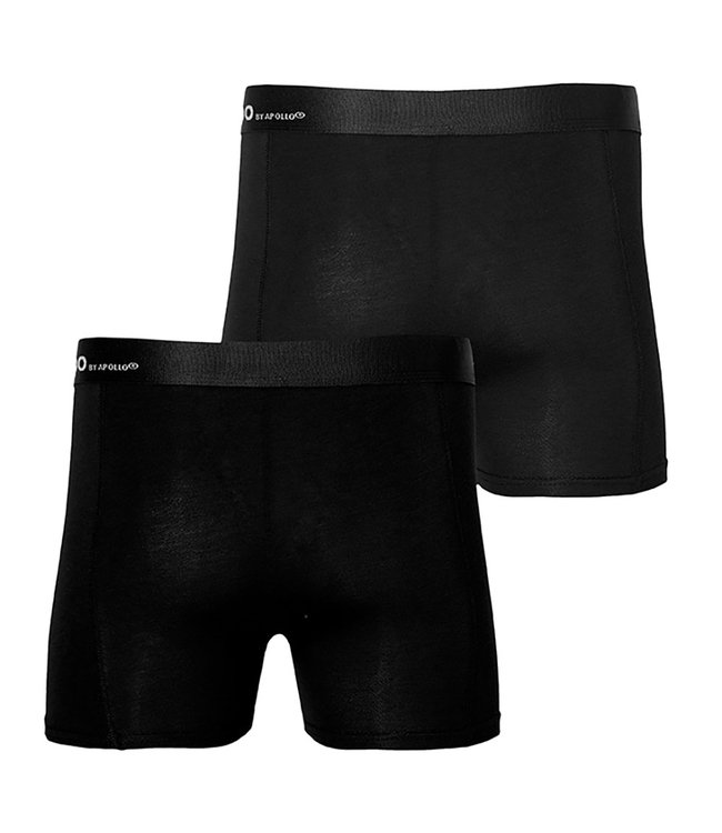 Apollo Bamboe onderbroeken 2 stuks