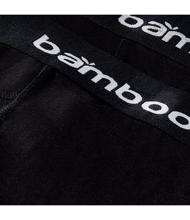 Apollo Bamboe onderbroeken 2 stuks